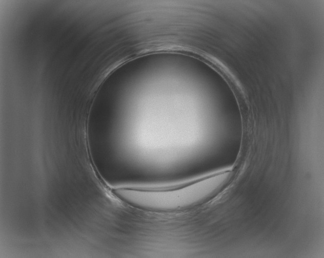 X0000073471289200607281049