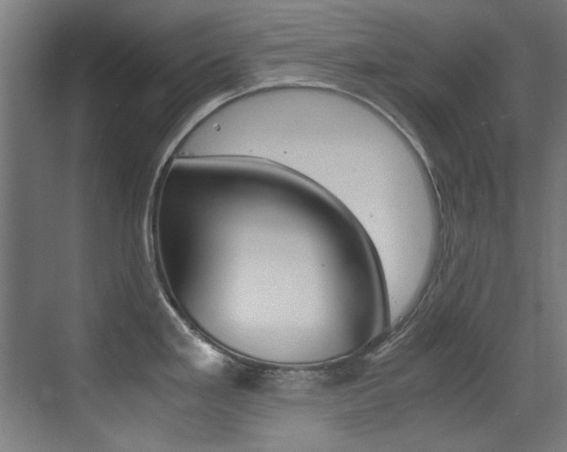 X0000073471293200607281049