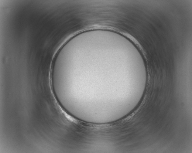 X0000073471294200607281049