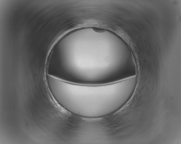 X0000073471296200607281049
