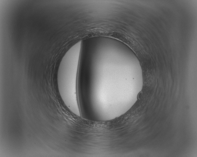 X0000073471297200607281048