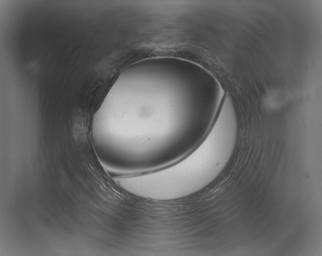 X0000073471300200607281048