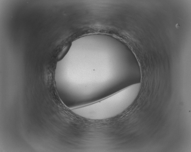 X0000073471302200607281048