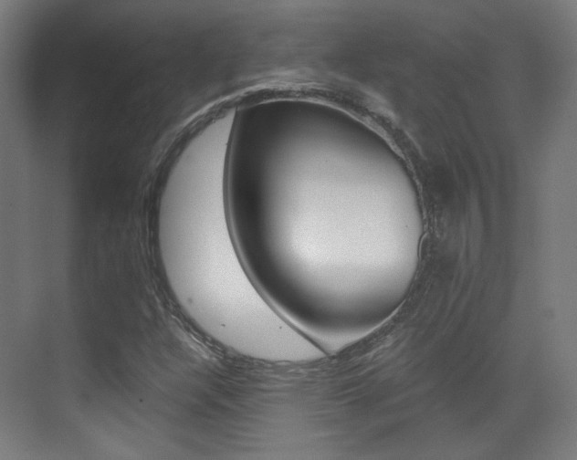 X0000073471304200607281048