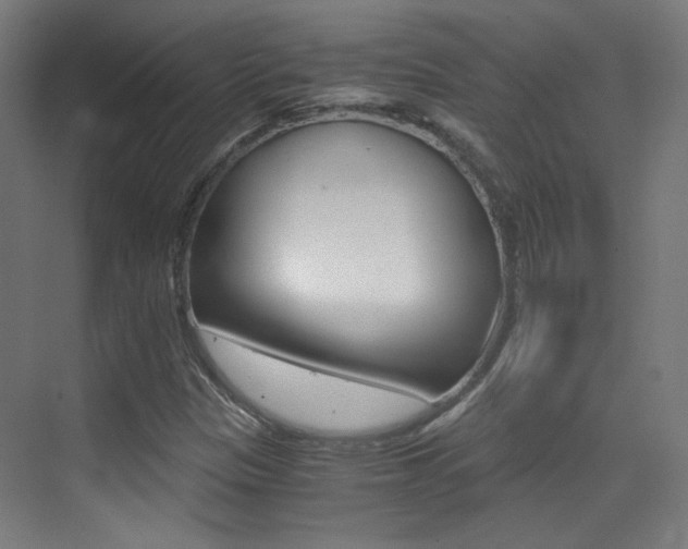 X0000073471305200607281048