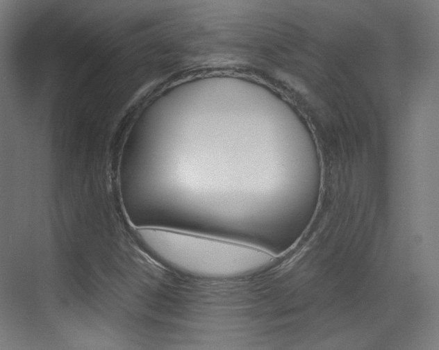 X0000073471306200607281048