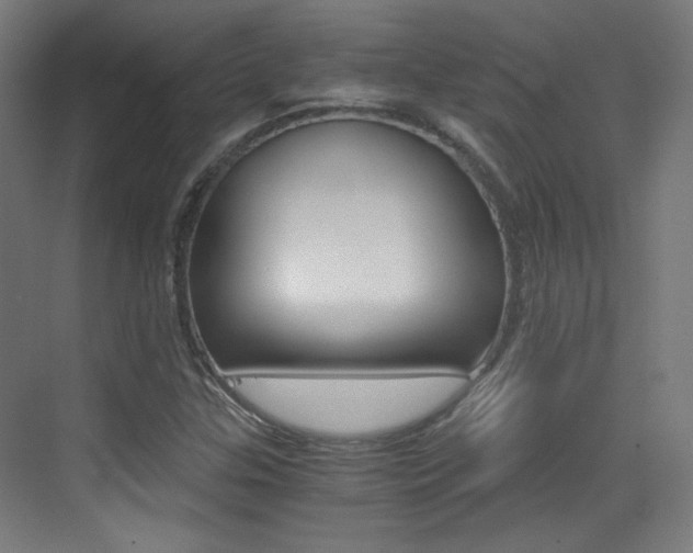 X0000073471307200607281048