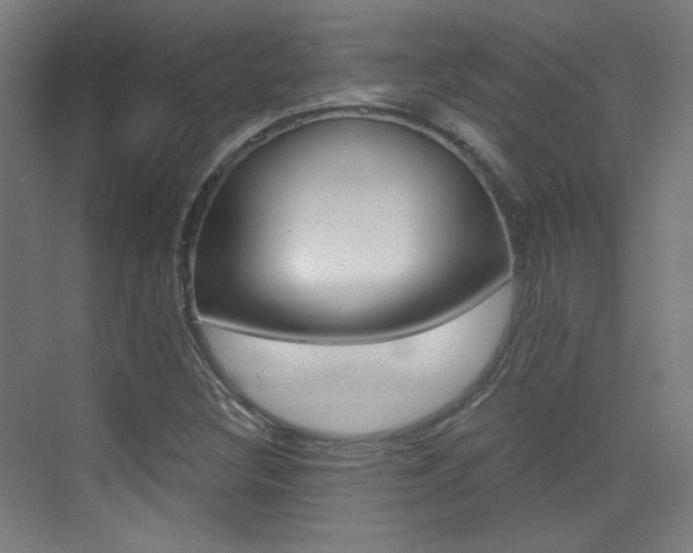 X0000073471308200607281048