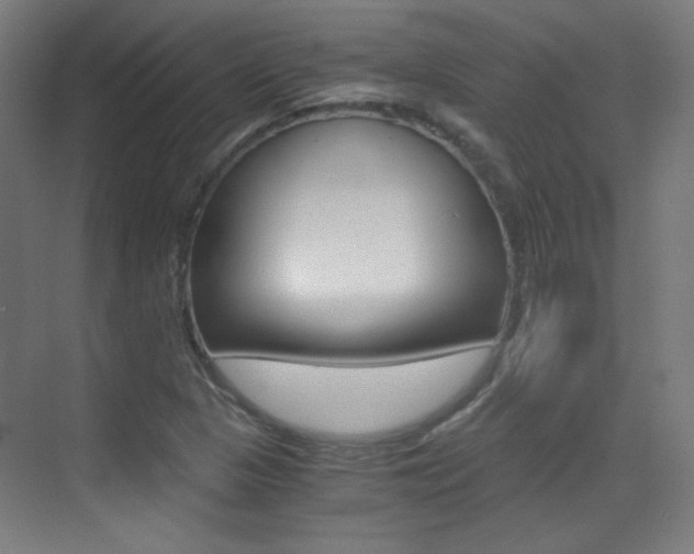 X0000073471313200607281048