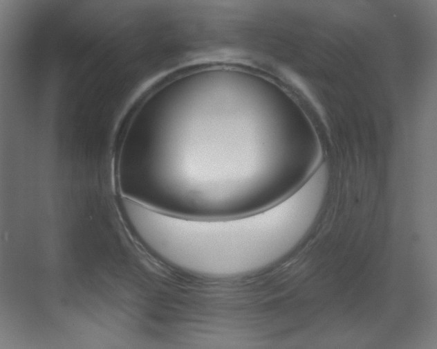 X0000073471320200607281048