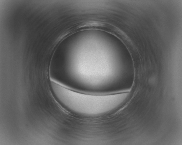 X0000073471321200607281049