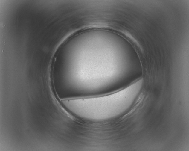 X0000073471325200607281049