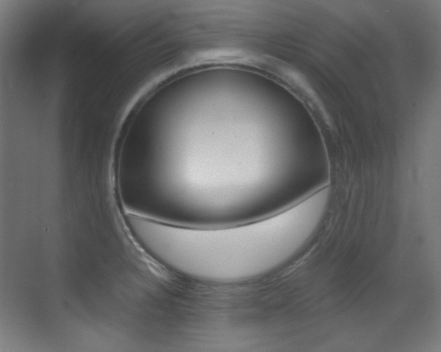 X0000073471328200607281049