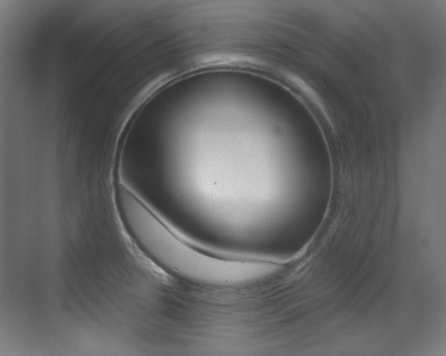 X0000073471330200607281049