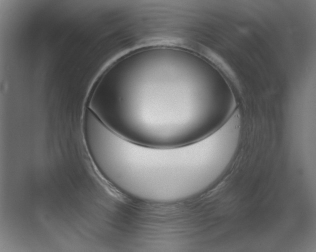 X0000073471332200607281049