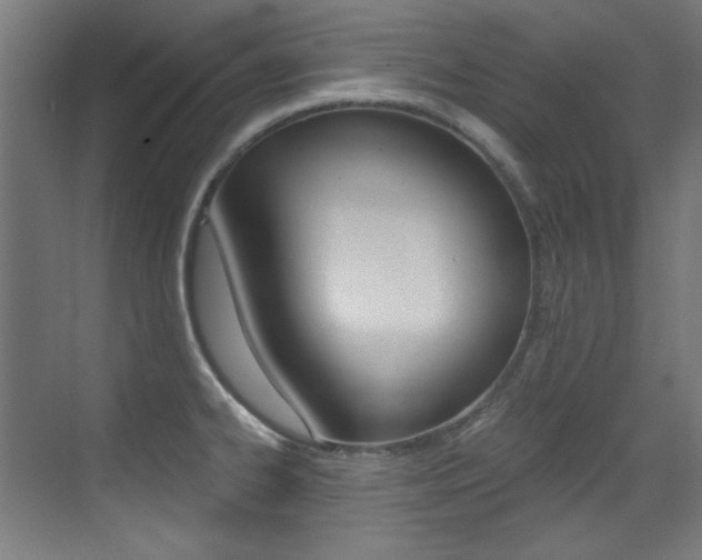 X0000073471334200607281049