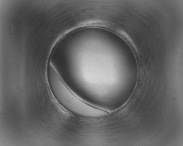 X0000073471336200607281049