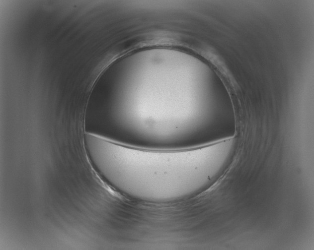 X0000073471337200607281049