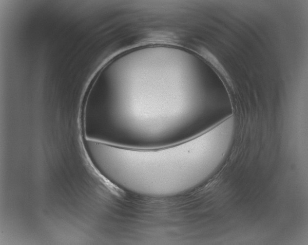 X0000073471339200607281049