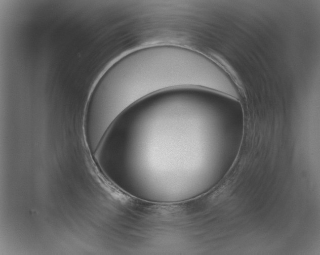 X0000073471340200607281049