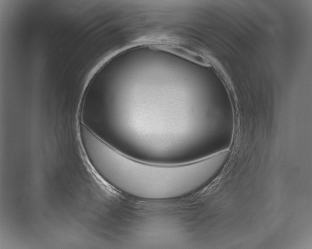X0000073471344200607281049
