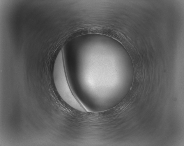 X0000073471345200607281048