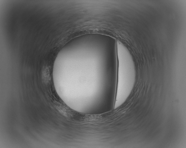 X0000073471347200607281048