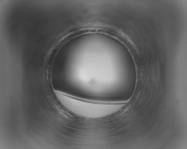 X0000073471352200607281048