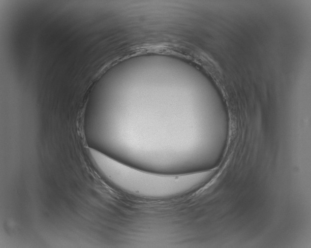 X0000073471353200607281048