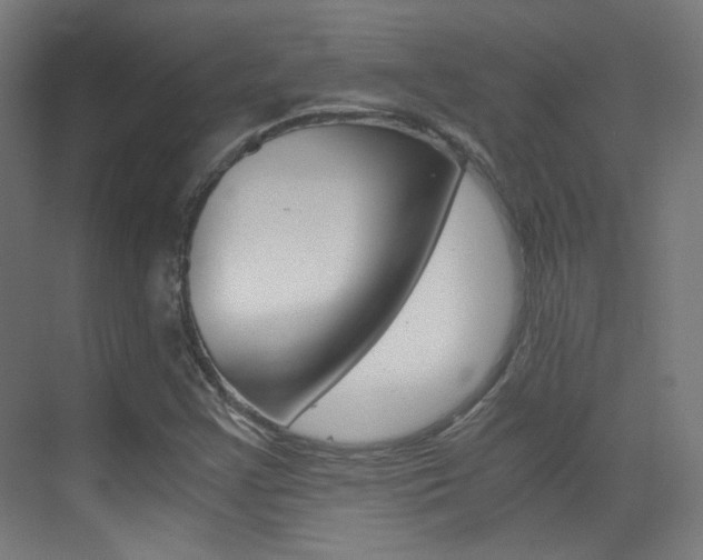 X0000073471355200607281048