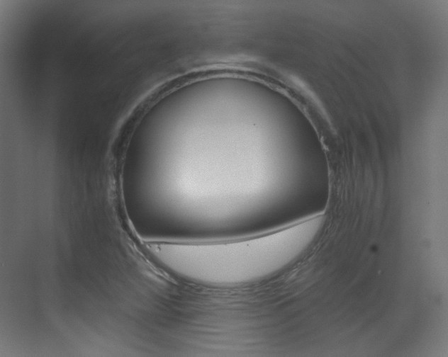 X0000073471360200607281048