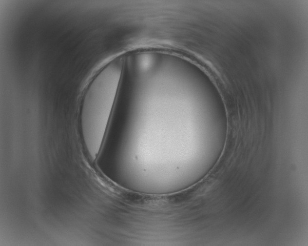 X0000073471363200607281048