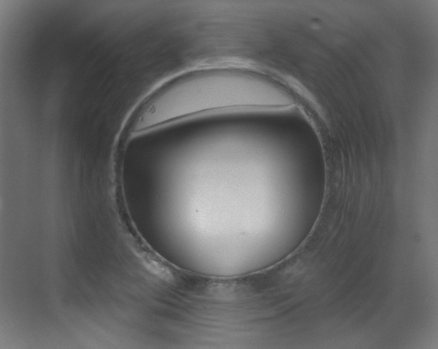 X0000073471364200607281048