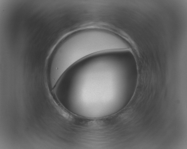 X0000073471368200607281048