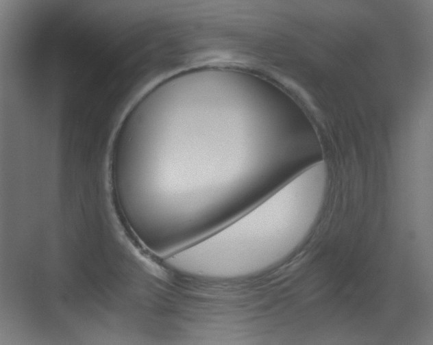 X0000073471375200607281048