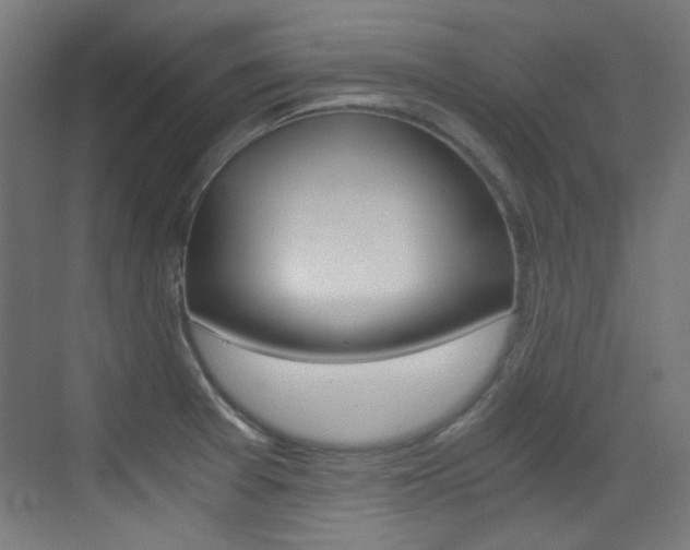 X0000073471377200607281048