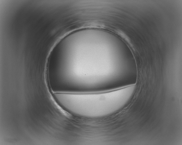 X0000073471379200607281048