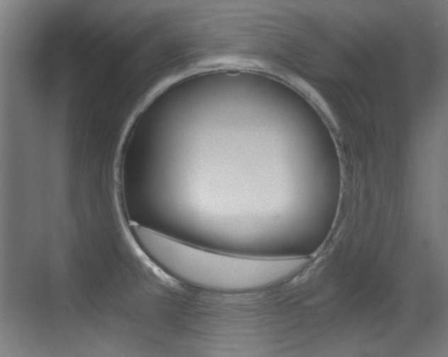 X0000073471381200607281047