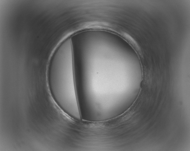 X0000073471384200607281047