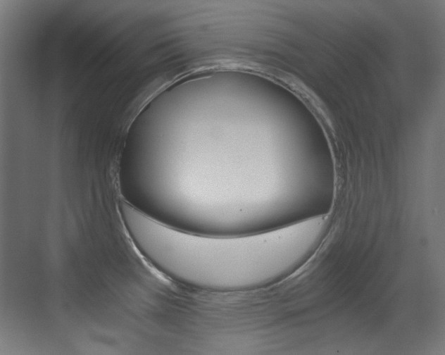 X0000073471385200607281047