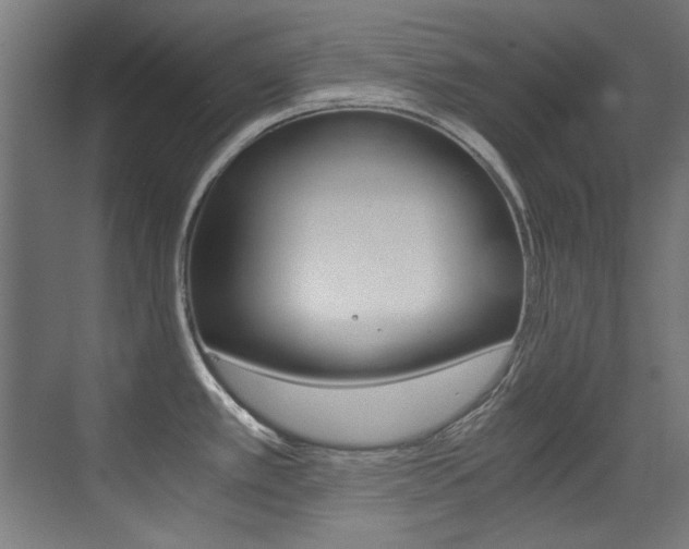 X0000073471389200607281047