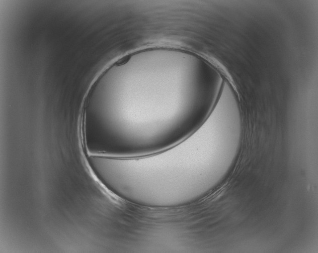 X0000073471391200607281047