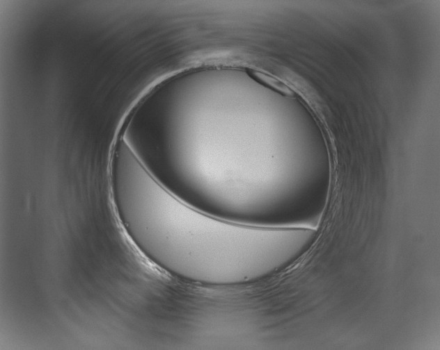 X0000073471392200607281047
