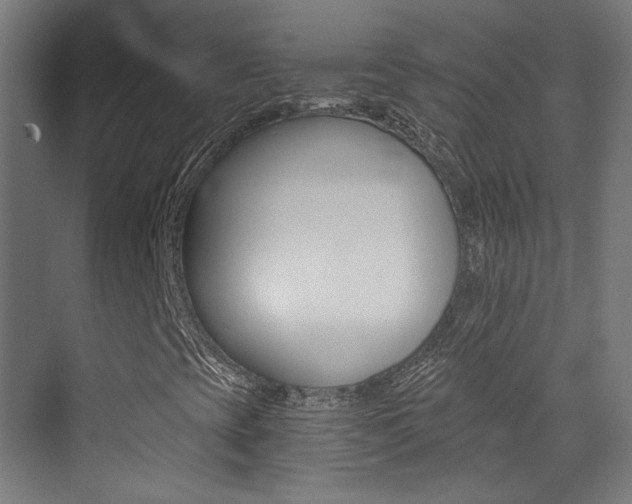 X0000073471393200607281046