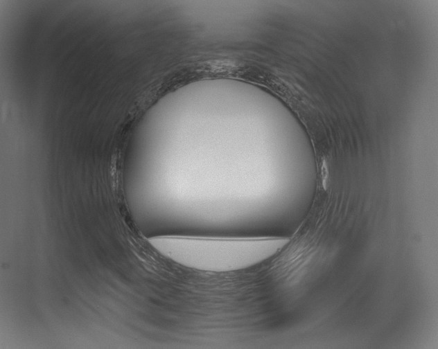 X0000073471395200607281047