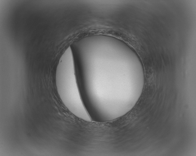 X0000073471397200607281047