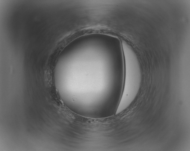 X0000073471398200607281047