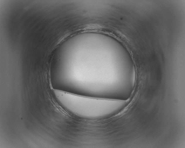 X0000073471401200607281047