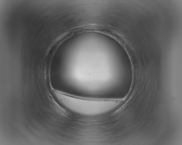 X0000073471402200607281047
