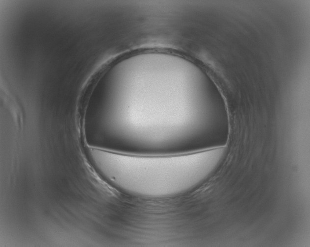 X0000073471408200607281047